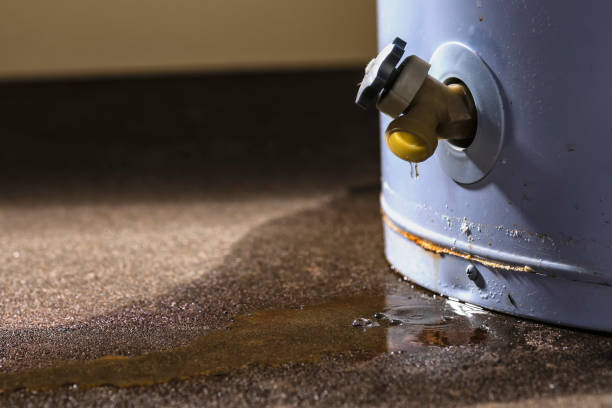 Best Mold removal after water damage  in Crestview, FL