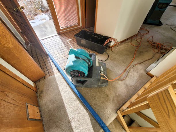 Best Emergency water damage restoration  in Crestview, FL