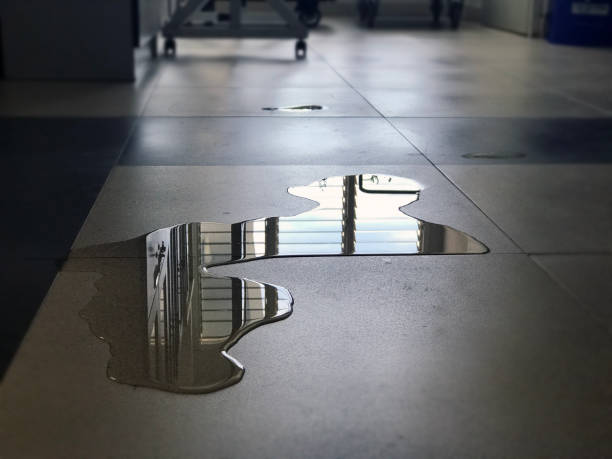 Best Water damage restoration near me  in Crestview, FL