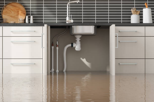 Best Residential water damage restoration  in Crestview, FL